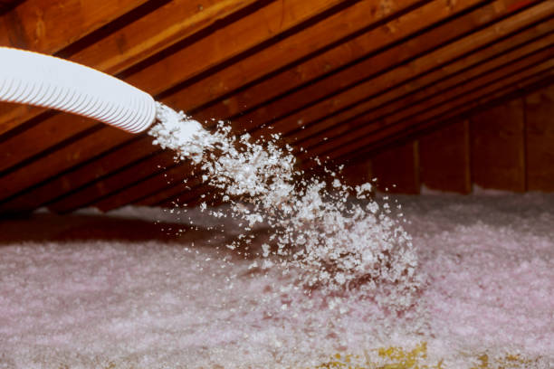 Best Spray Foam Insulation in San Diego Country Estates, CA