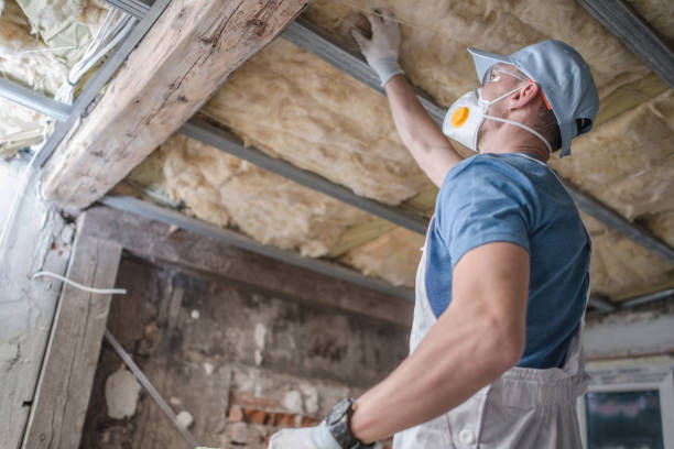 Types of Insulation We Offer in San Diego Country Estates, CA