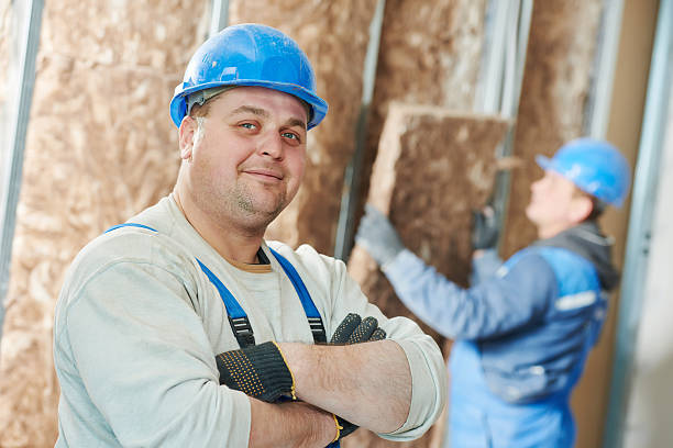 Best Cellulose Insulation in San Diego Country Estates, CA