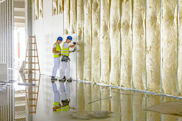 Best Blown-in Insulation in San Diego Country Estates, CA